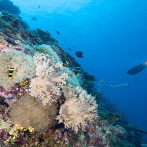 Hurawalhi Island - Luxury Maldives Honeymoon Packages - scuba diving