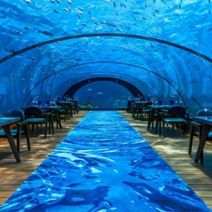 Hurawalhi Island - Luxury Maldives Honeymoon Packages - underwater restaurant1