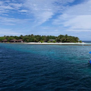 Lily Beach Resort and Spa at Huvahendhoo - Luxury Maldives Honeymoon Packages - penguin excursion