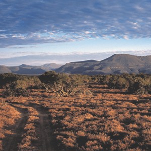 Samara Private Game Reserve - Luxury South Africa Honeymoon Packages - a road through Karoo