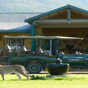 Samara Private Game Reserve - Luxury South Africa Honeymoon Packages - cheetah outside exterior