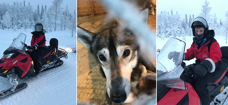 husky - abbie visits lapland - lapland honeymoon packahes