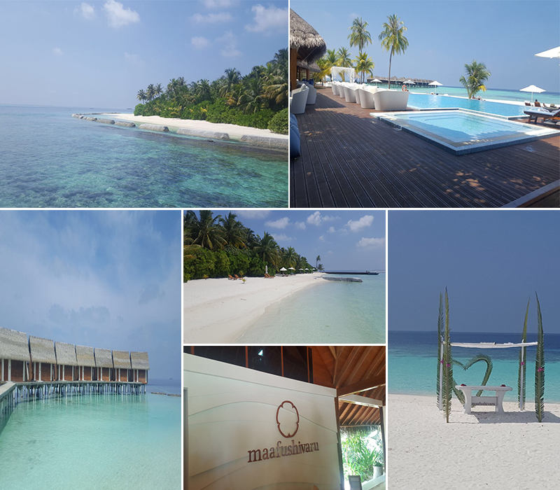 verity sri lanka and maldives fam trip - Maafushivaru maldives