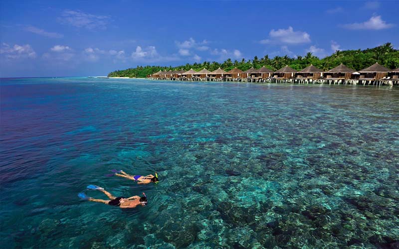verity sri lanka and maldives fam trip - snorkeling maldives