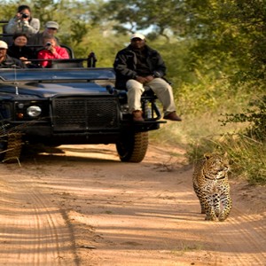 Lion Sands Game Reserve - Luxury South Africa Honeymoon Packages - Safari1