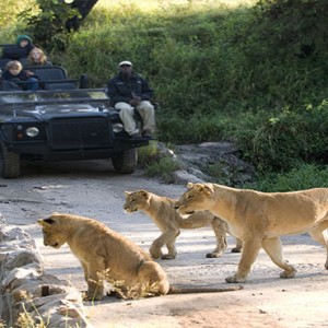 Lion Sands Game Reserve - Luxury South Africa Honeymoon Packages - Safari2