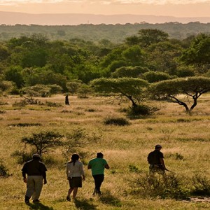 Lion Sands Game Reserve - Luxury South Africa Honeymoon Packages - nature walk