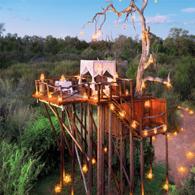 Lion Sands Game Reserve - Luxury South Africa Honeymoon Packages - thumbnail