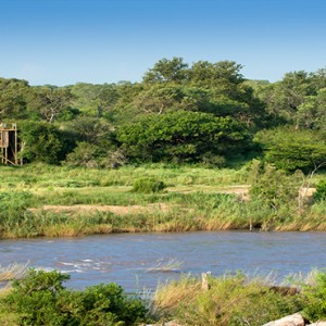 Lion Sands Game Reserve - Luxury South Africa Honeymoon Packages - tinyeletreehouse view