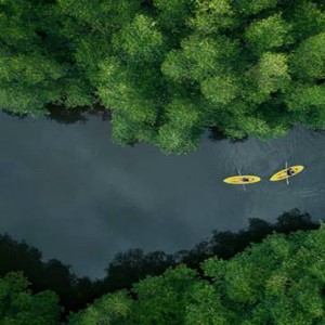 Malaysia Honeymoon Packages Shangri La Rasa Ria Resorts And Spa Kayak Safari