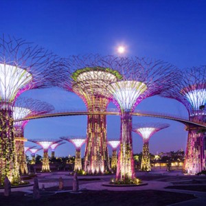 Marina Bay Sands - Luxury Singapore Honeymoon Packages - Gardens by the bay attraction