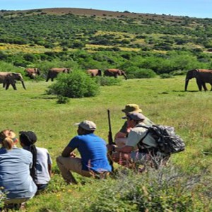 Shamwari Game Reserve - Luxury South Africa Honeymoon Packages - walking safari