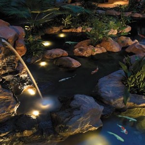 Shangri la Singapore - Luxury Singapore Honeymoon Packages - Garden wing atrium waterfall and koi pond by night