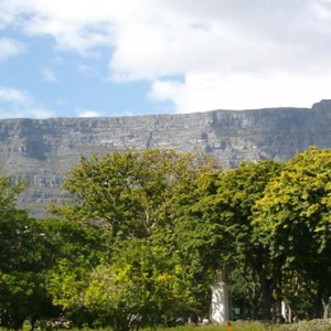 Taj Cape Town - Luxury South Africa Honeymoon Packages - Location1