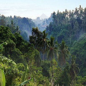 Bali Honeymoon Packages Viceroy Bali Valley Views2