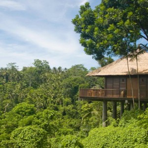 Bali Honeymoon Packages Alila Ubud Valley View