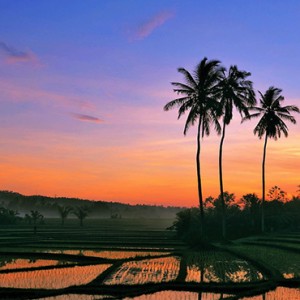 Bali Honeymoon Packages The Laguna Bali Local Attraction3