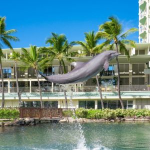 Dolphin Experience Kahala Hotel & Resort Hawaii Honeymoons