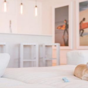 Miami Honeymoon Packages W South Beach Miami Pet Friendly