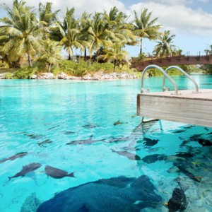 Bora Bora Honeymoon Packages st regis bora bora Lagoonarium