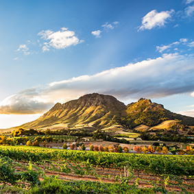 South Africa Honeymoon Multi Centre Packages Stellenbosch