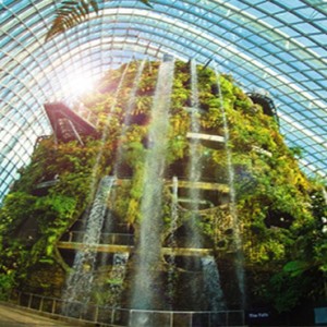 Singapore Honeymoon Packages Fullerton Hotel Gardens By The Bay