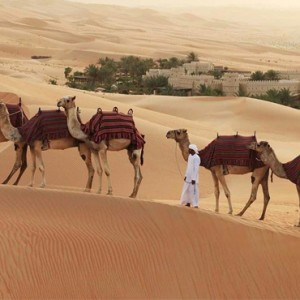 Abu Dhabi Honeymoon Packages Qasr Al Sarab Desert Resort Camels