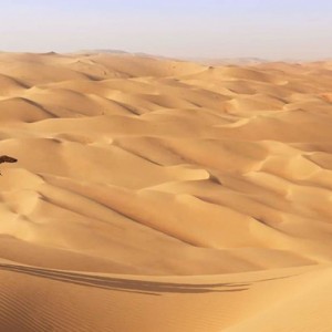 Abu Dhabi Honeymoon Packages Qasr Al Sarab Desert Resort Desert