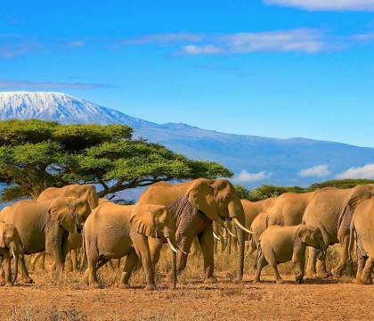 a picture of Tanzania