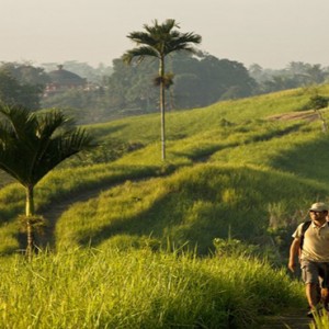 Bali Honeymoon Packages COMO Uma Ubud Ubud Hike