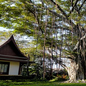 Thailand Honeymoon Packages Chiva Som Hua Hin The Banyan Tree