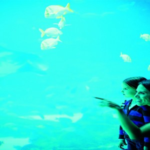 San Francisco Honeymoon Packages - Ritz-Carlton San Francisco - sea life centre