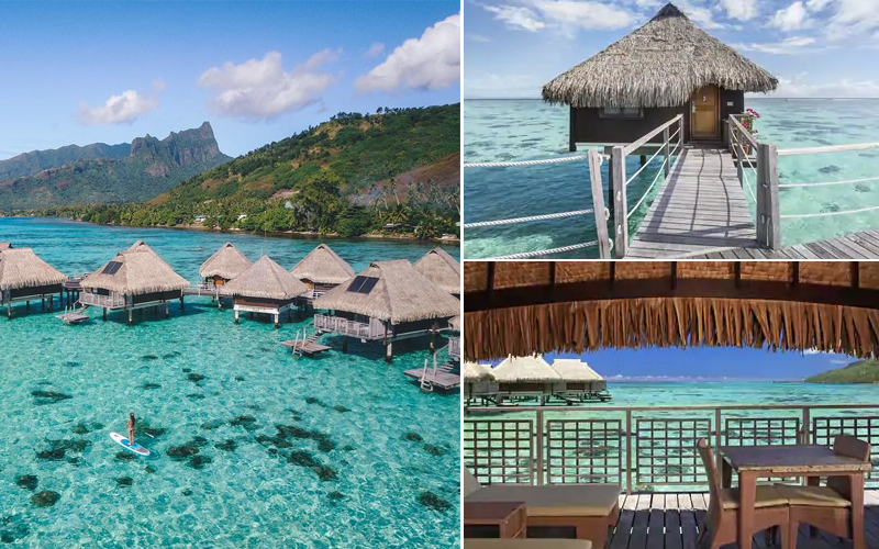 10 Most Romantic Villas In South Pacific Bora Bora Honeymoon Packages Hilton Moorea