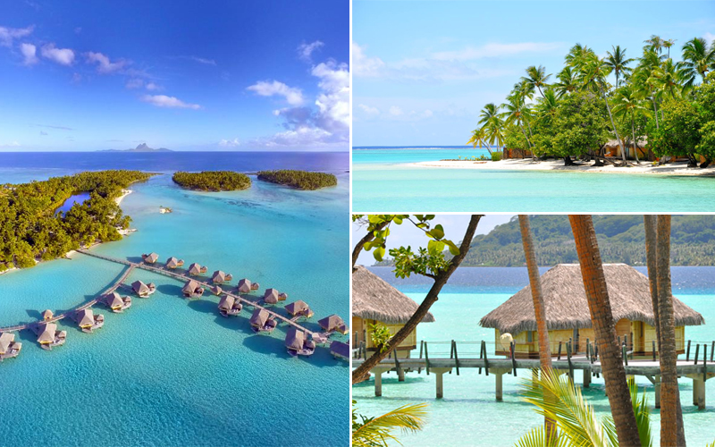 10 Most Romantic Villas In South Pacific Bora Bora Honeymoon Packages Le Taha