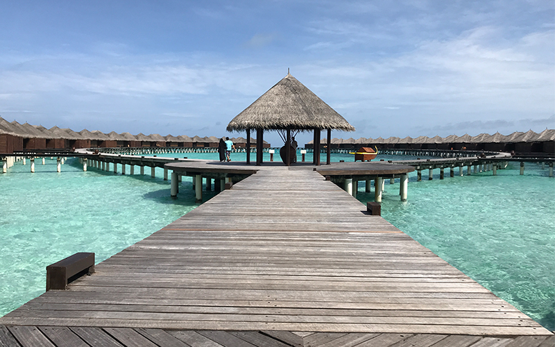 Luxury Maldives Holiday Packages Guide To The Maldives Coco Bodu Hithi