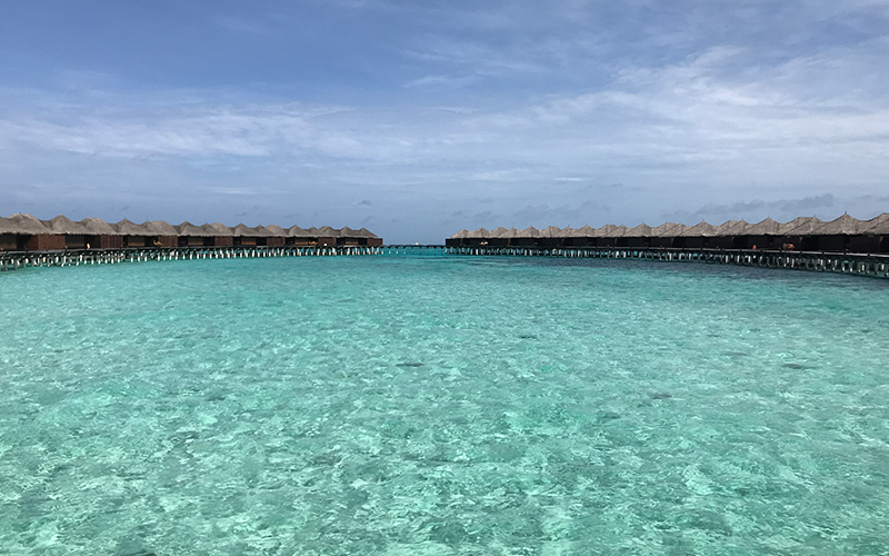 Luxury Maldives Holiday Packages Guide To The Maldives Coco Bodu Hithi 6
