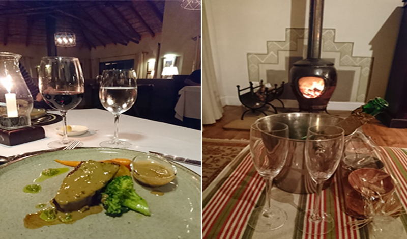 Paloma And Russels South Africa And Mauritius Blog Pumba Game Reserve Dinner And Champagne