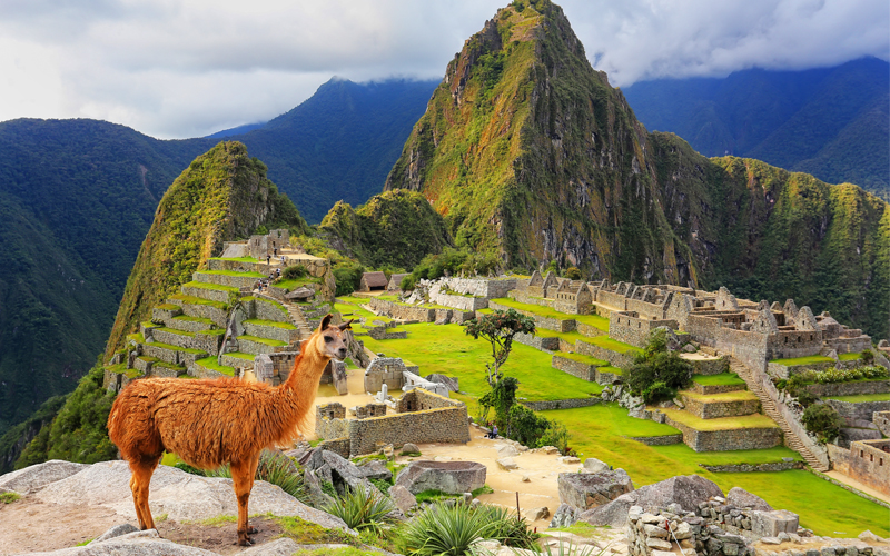 Vegan Honeymoon Destinations Peru Vegan Restaurants