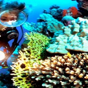 Dubai Honeymoon Packages Movenpick Hotel Jumeirah Lakes Towers Scuba Diving