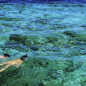 Maldives Honeymoon Packages Mercure Maldives Kooddoo Resort Snorkelling