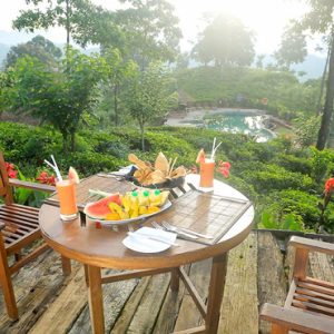 Sri Lanka Honeymoon Packages 98 Acres Resort & Spa Dining Outdoors