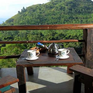 Sri Lanka Honeymoon Packages 98 Acres Resort & Spa Tea With A View