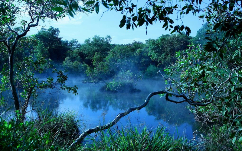 Top 10 Romantic Things To Do In Vietnam Soak In The Mineral Hot Springs Of Binh Chau