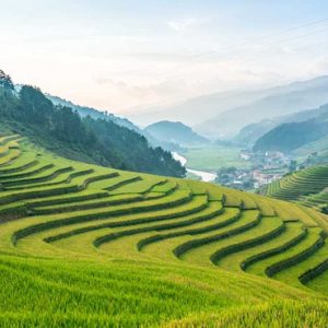 Vietnam Honeymoon Packages Topas Ecolodge Rice Fields