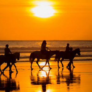 Nevis Honeymoon Packages Oualie Beach Resort Horse Riding