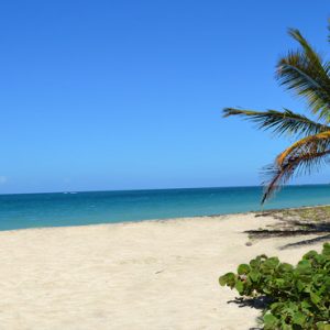 Nevis Honeymoon Packages Oualie Beach Resort Lovers Beach