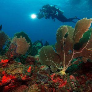 Nevis Honeymoon Packages Oualie Beach Resort Scuba Diving