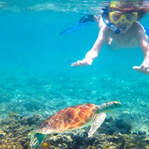 Nevis Honeymoon Packages Oualie Beach Resort Snorkelling