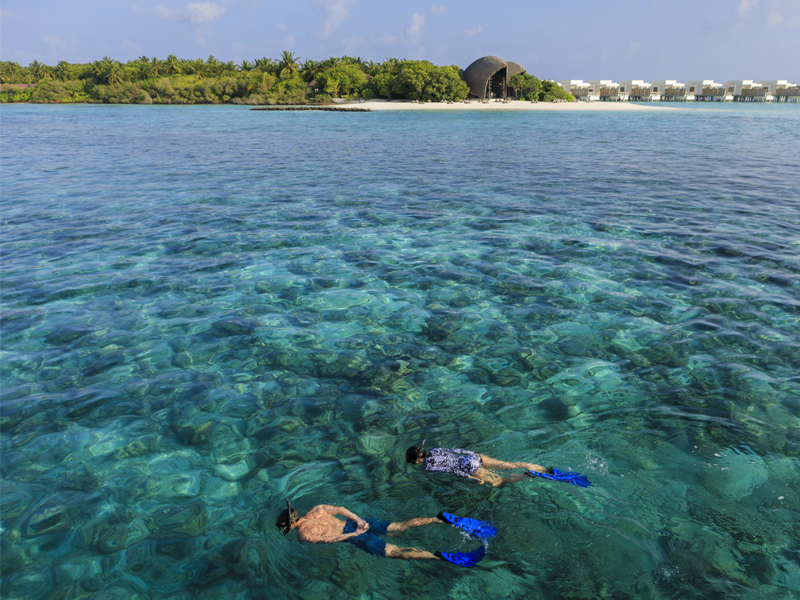 10 Reasons To Honeymoon At Dhigali Underwater Excursions