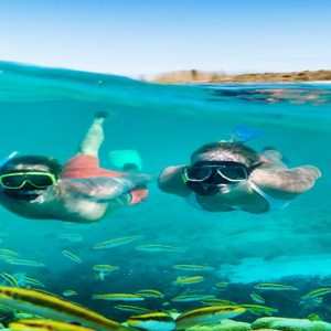 Barbados Honeymoon Packages Sandals Royal Barbados Watersports Snorkelling